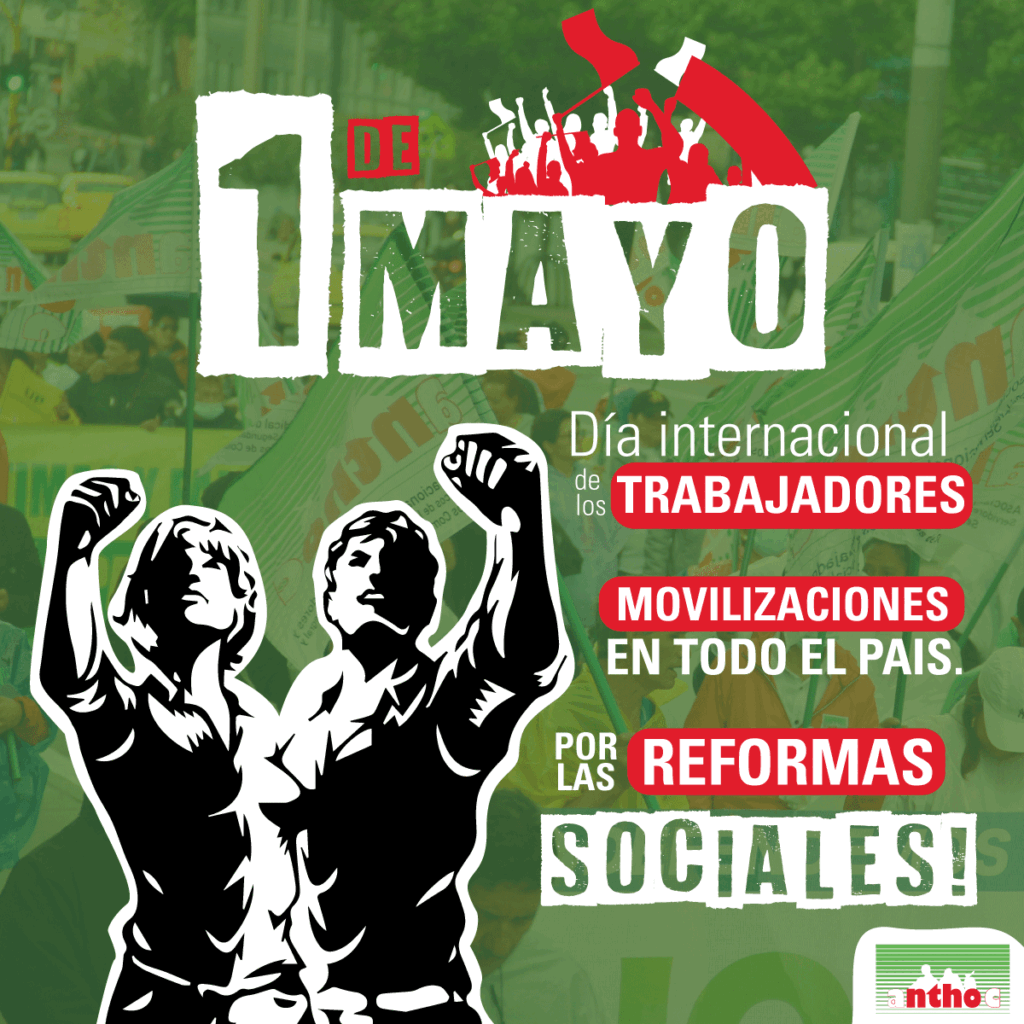 anthoc1demayo
